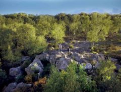 rencontres foret de fontainebleau