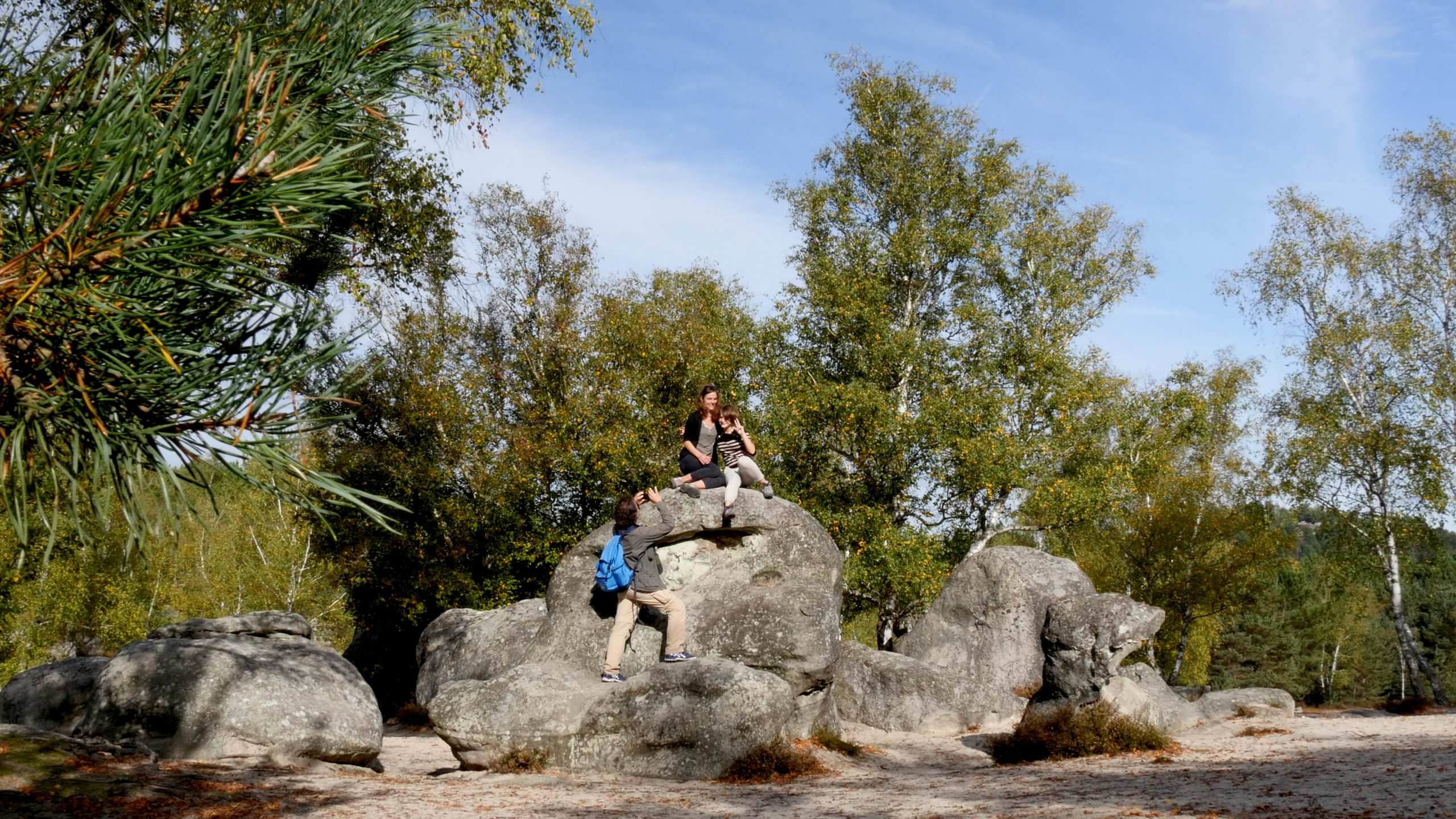 Visite sur la trace des animaux en forêt de Fontainebleau - Fontainebleau  Tourisme